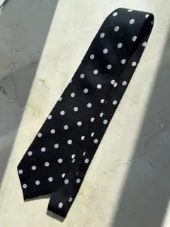 Seaward & Stearn ポルカドットタイ