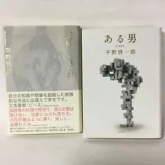 平野啓一郎「透明な迷宮」「ある男」単行本2冊セット