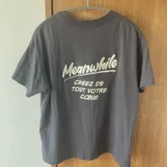 アンドミー　Ｔシャツ　スミクロ　Mサイズ