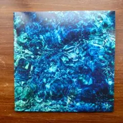 青葉市子　レコード　デラックス　初回盤　特典付き　ステッカー　ポストカード　新品 Luminescent Creatures 初回限定（デラックス）アナログ盤 *日本