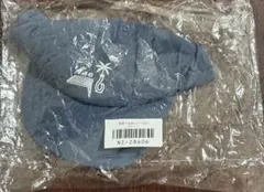 Item thumbnail for item 96359524-d8f8-42c9-adac-0fb0c9ab4d8a