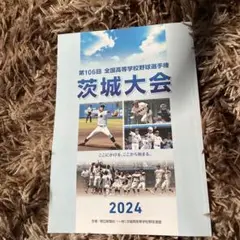 第106回全国高等学校野球選手権 茨城大会 2024