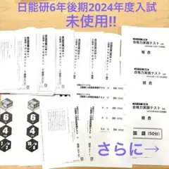 全て未使用‼︎日能研6年後期テスト　完成日特ファイナル　入試演習2024年度入試
