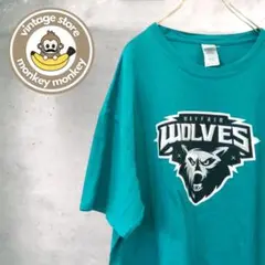 mt71125 ギルダン　オーバーサイズ　プリントTシャツ　カットソーチームロゴ