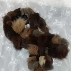 ムーンバット
リアルファーマフラー