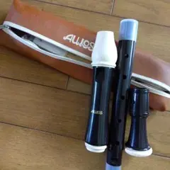 Item thumbnail for item 6f5f091d-8b5d-4edf-9332-e5bd61bb8368