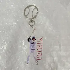 swallows スワローズ 山田哲人 キーホルダー チャーム 新品 未使用
