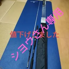 AブリッツネライM210