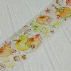 【94】念秋 海外 マスキングテープ PET 1ループ 切売り