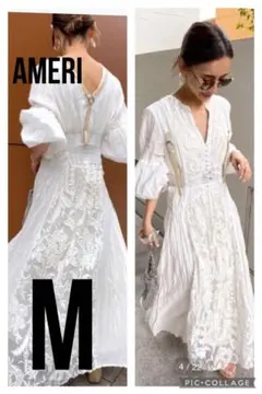 MEDI EMBROIDERY TULLE LACE DRESS