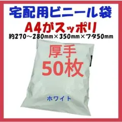 Item thumbnail for item 44bc3f13-e1b5-43fd-8173-16d74a1d4d51