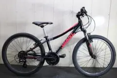 GIANT ☆マウンテンバイクXTC JR （必ず現車確認してください） 2023 GIANT Bicycles | XTC JR 24/20