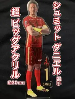 名古屋グランパス 超BIGアクリル シュミットダニエル選手 鯱の大祭典ver.