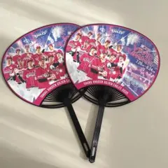 楽天イーグルス 応援うちわ VIVID SUMMER 2025　2枚セット