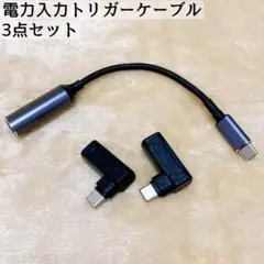 ✨新品未使用✨ 電力入力トリガーケーブル USB C オス 変換 3点セット