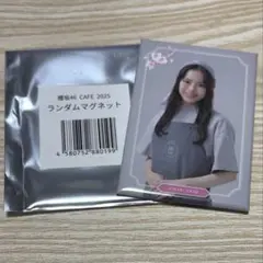 Item thumbnail for item 1fff6e20-266b-4cb2-ad80-547be7a16b9d