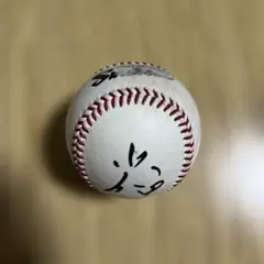 東京ヤクルトスワローズ 小川 泰弘 投手 直筆サインボール チーム練習球
