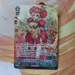 2025年最新】ラナンキュラスの花乙女アーシャの人気アイテム