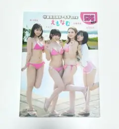 【呼び出し先生タナカコラボ】東京湾岸がーるず写真集『えもなむ』　中古
