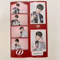 SF9 ⁦‪life4cut‬⁩ 人生4カット 写真 フォト トレカ テヤン