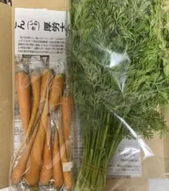 Item thumbnail for item 6ec14579-89ca-4794-af9e-262940a5913d