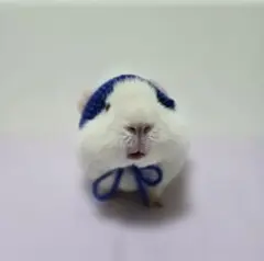 Item thumbnail for item 8c1c24c3-06b8-4983-aa8b-6917b7a1518d