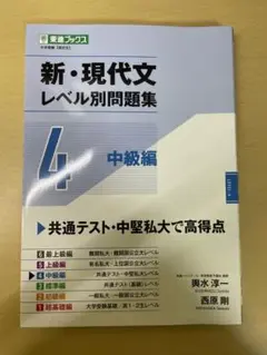 新・現代文レベル別問題集④ 中級編