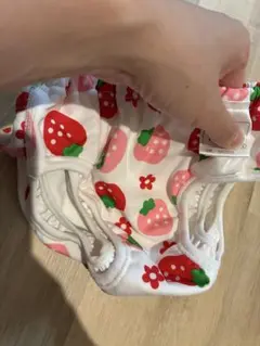 水遊びパンツ　100cm 記名あり未使用　いちご柄