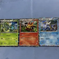 3枚セット　ジャローダ　エンブオー　ダイケンキ　HSP BW 御三家　プロモ