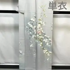 C338正絹　単衣　訪問着　極美品　着物
