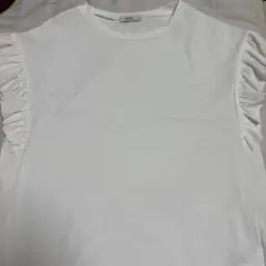 Item thumbnail for item a85c91ce-17d6-416a-83ce-c33feb419d43