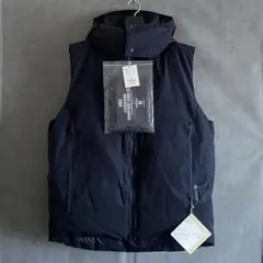 Item thumbnail for item e02ea4b2-17c5-46a5-91d8-53c7fe328384
