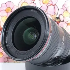 ❤エントリーLレンズ❤Canon EF 17-40mm f4L USM ❤