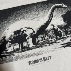 SUNDAYS BEST DINOSAUR DISCOVERY STORE T