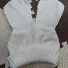 Item thumbnail for item 48f04060-7483-4330-b4fb-2a8352c847b0