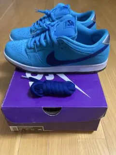 NIKE SB DUNK low ブルーフューリー
