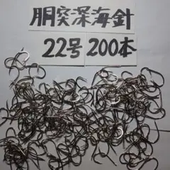 胴突深海針22号200本