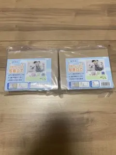 万年カレンダー　写真立て　工作　2個セット