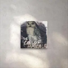 90sフルーツオブザルームfruits of the loom2枚タグフクロウ