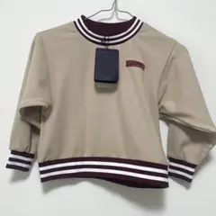 Item thumbnail for item 353e7978-a4fe-45dd-8934-19a39c8ab240