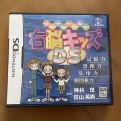 右脳キッズDS 神林式脳力開発法