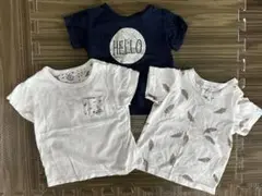 【80cm】Tシャツ 3枚セット　※9/30までの出品