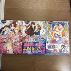 TL小説　脱走プリンセス 他 3冊セット