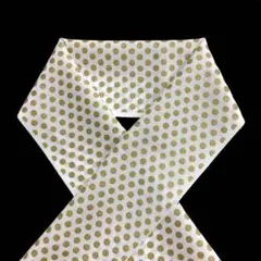 Item thumbnail for item e40c2594-fe74-46cf-89cd-d33e0808887c