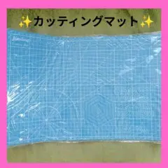 Item thumbnail for item f08ed13b-d2a1-462f-8c1b-54100d7fb626