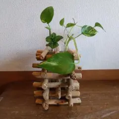 Item thumbnail for item 189aa2b4-1dd7-4492-8f40-684f81590644