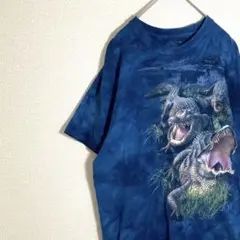 古着　USA The Mountain 恐竜　グラフィック　Tシャツ　絞り染め