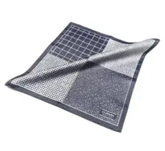 Item thumbnail for item 49ae9af7-5a9d-47ca-9b7e-90615da81834