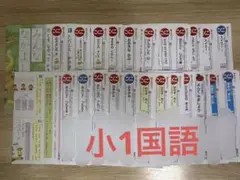 1年生 国語　カラーテスト 小1 小学校 テスト 1年