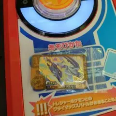 早いもの勝ち✩ポケモンフレンダレガシーミライドン✩